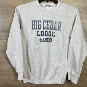 VGT Champion Reverse‎ Weave Sweatshirt Boys Youth Large 10-12 Gorpcore School